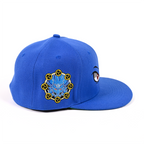 RV Cobalt Snapback
