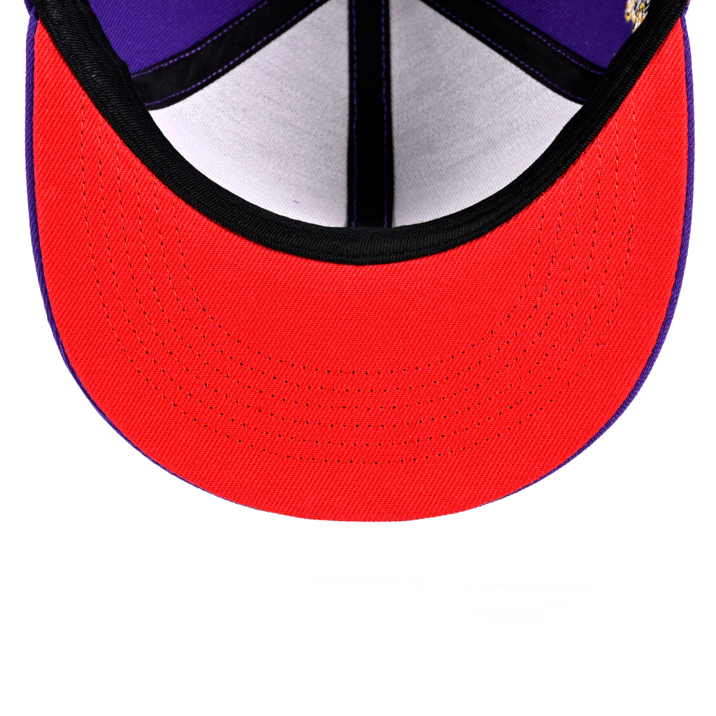 RV Indigo Snapback