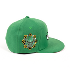 RV Midori Snapback